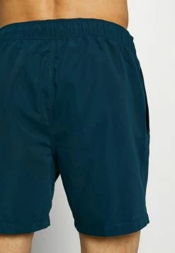 Billabong ALL DAY - Swimming Shorts - Navy -Billabong Shop 464d58358b2943c5a6834d4ae62c2bcb